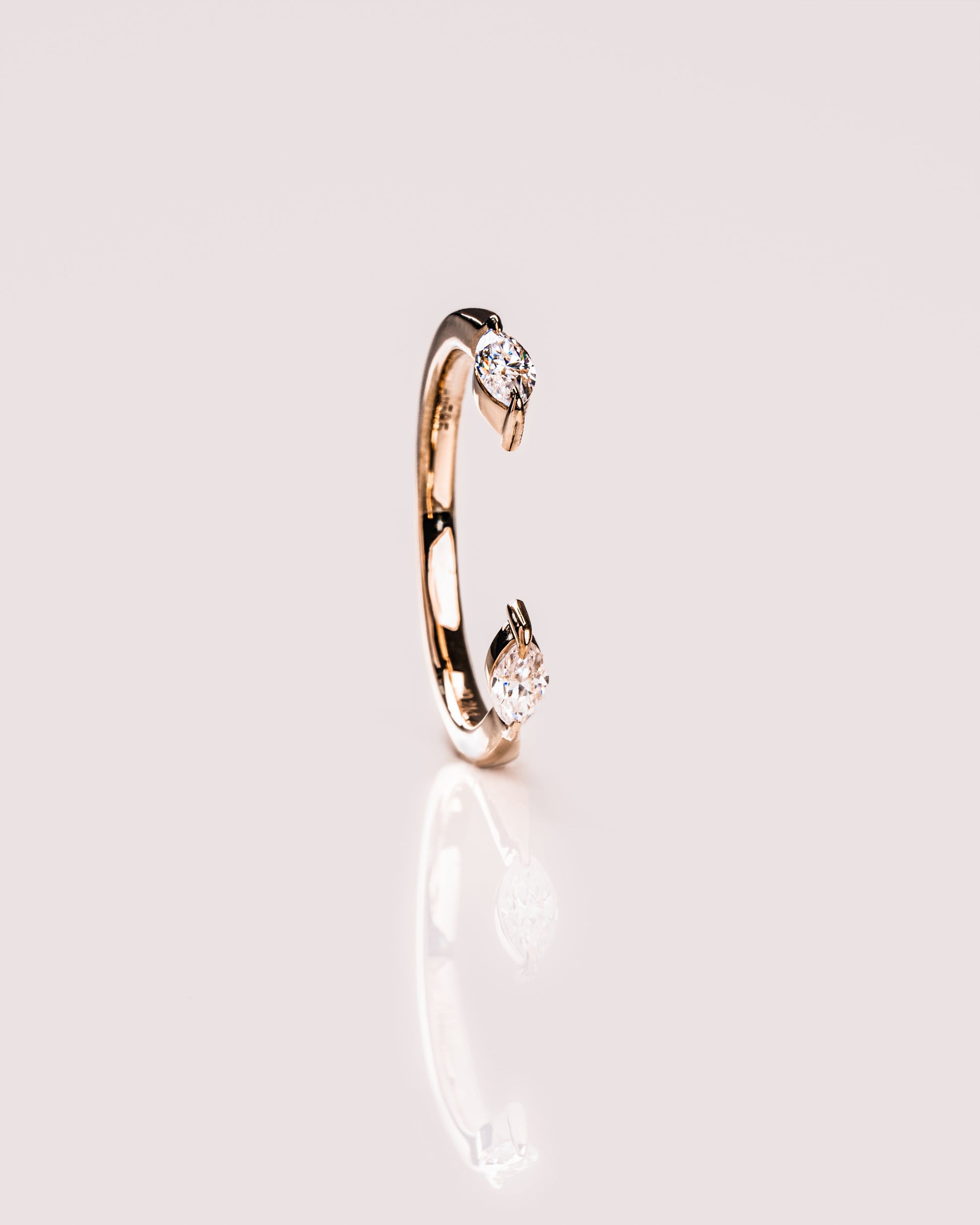 ZM113