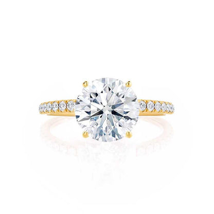 LAW146